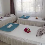 Pensión Santosa 3*