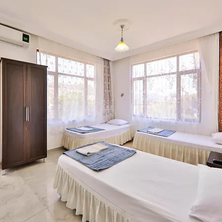 Santosa Guest house *