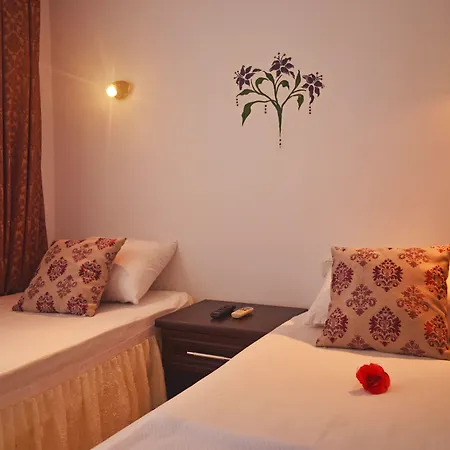 Santosa 3* Kas